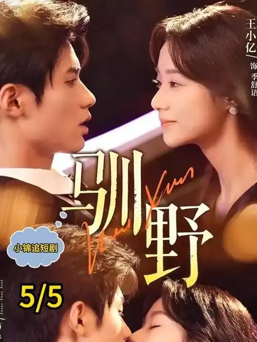 长夜将尽 都市情感电视剧全集